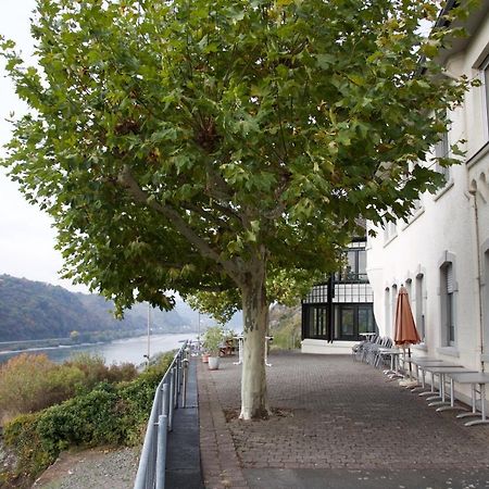 Cvjm-Elsenburg Gaestehaus Kaub Exteriér fotografie